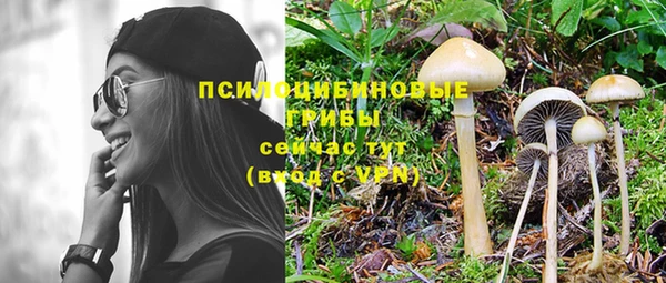 ALPHA-PVP Богородск
