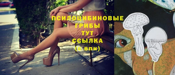 амф Богданович